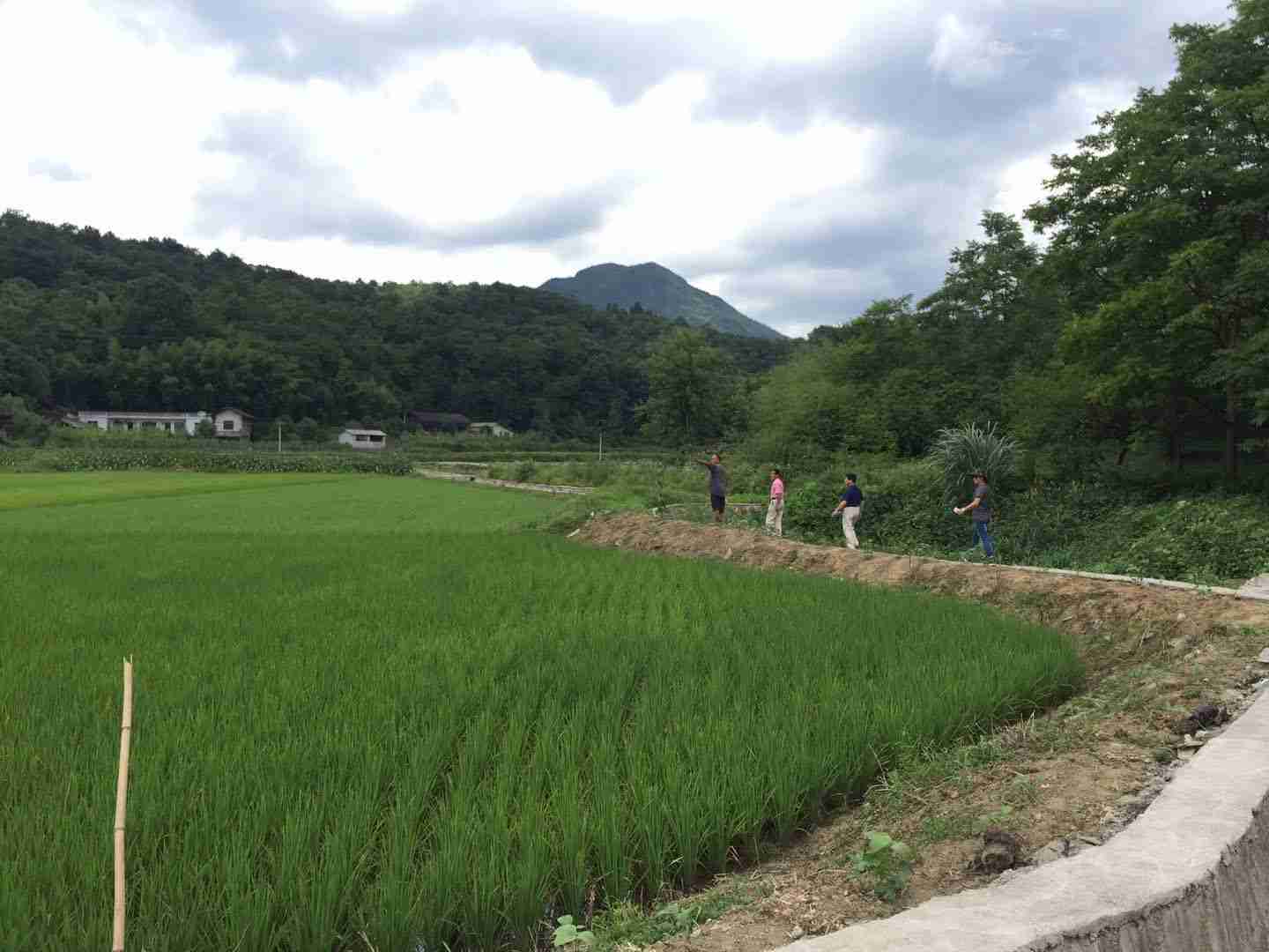 袁氏麓峰现代农业有限公司,长沙袁酒原材料基地管理,白酒销售,酒类销售哪里好